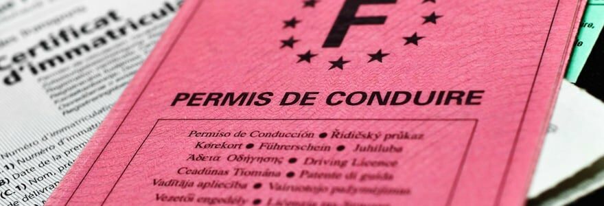 duplicata de permis de conduire